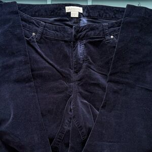 Monsoon Blue Straight Leg velour Pants
